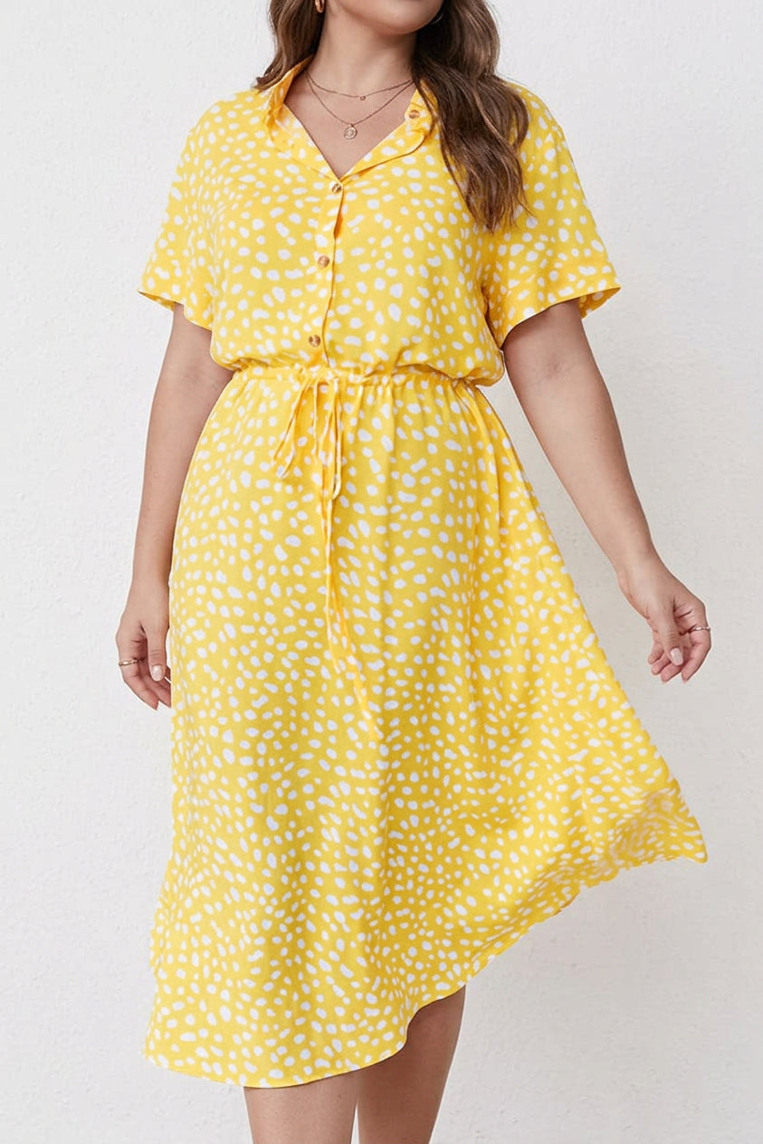 Kristen Polka Dot Collared Knee-Length Dress – view 9