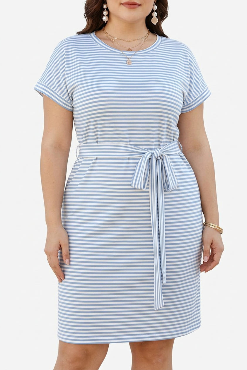 Penelope Knit Striped Round Neck Knee-Length Dress